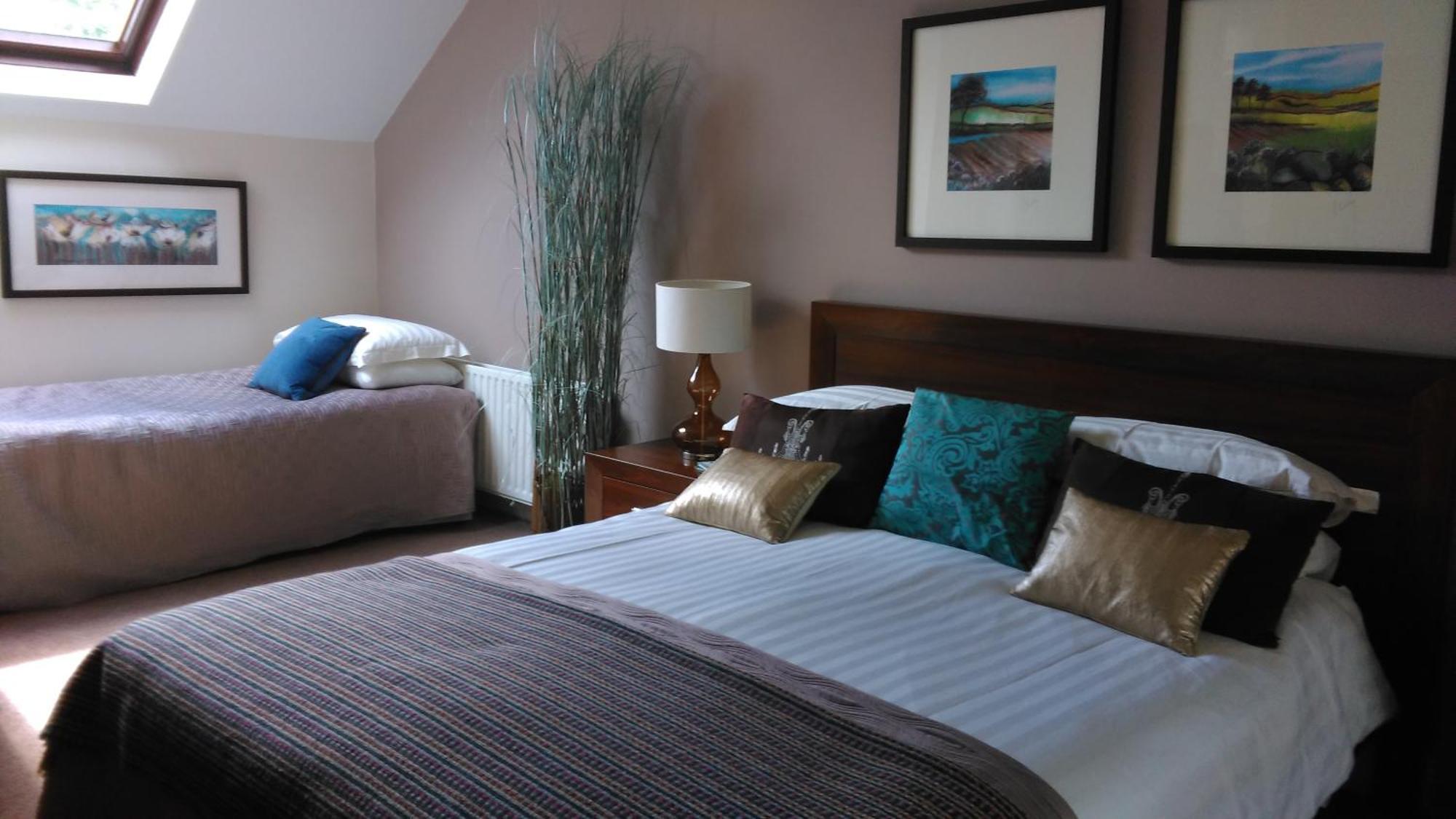 Ballinwillin House Mitchelstown Oda fotoğraf